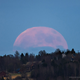 Illustration for article titled Wow, check out the giant full moon rising